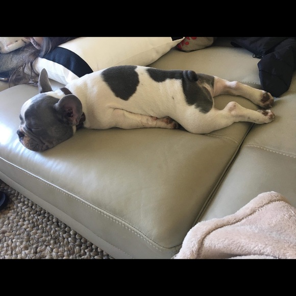 Profile Picture of Javier Navarro (@javiernavarr831) on Poshmark