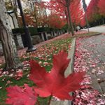 Profile Picture of Cathy Deng (@cathy.deng.104) on Instagram