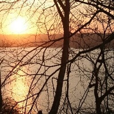 Profile Picture of Thomas Macedo (@macedothomas) on Twitter