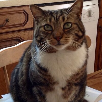 Profile Picture of Linda Parris (@knockyknees) on Twitter
