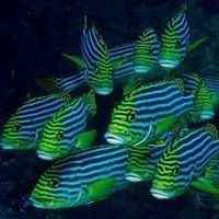 Profile Picture of Pete Lucas (@pete-lucas-7) on Quora