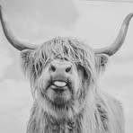 Profile Picture of Jackie Snell (@jackie.bell.5623) on Facebook