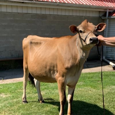 Profile Picture of Eric Reisinger (@ericreisinger6) on Twitter