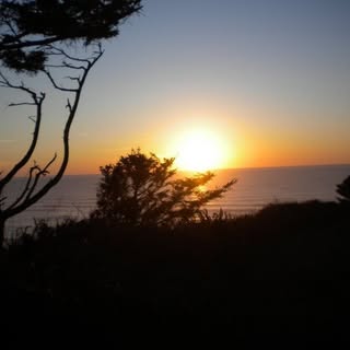 Profile Picture of misty janson (@mistyjanson) on Instagram