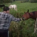 Profile Picture of James Hajjar (@hajjarjames) on Instagram