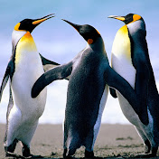 Profile Picture of Megan Chase (@meganchase693) on Youtube