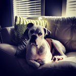 Profile Picture of Chad Riddell (@_chadriddell) on Instagram