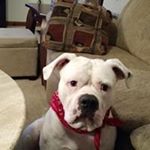 Profile Picture of Daryl Herbert (@fknaman) on Instagram