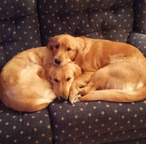 Profile Picture of Carole Blazes (@caroleblazes) on Poshmark