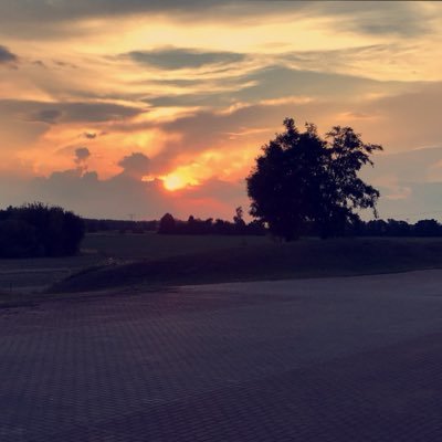 Profile Picture of David Dobrik (@RoehlSimon) on Twitter