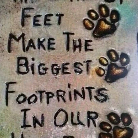 Profile Picture of Jill Kekki (@jillee1111) on Poshmark