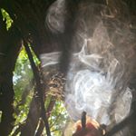 Profile Picture of 🌈Carly🌺 (@grim.mp3) on Instagram