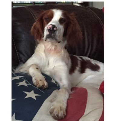 Profile Picture of Mark Renier (@markrenier4) on Twitter