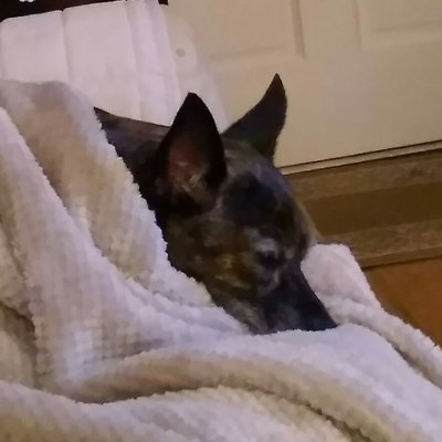 Profile Picture of Jessie McGowen (@JessieMcgowen) on Twitter