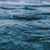 Profile Picture of Howard Mccall (@howardmccall505) on Tiktok