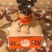 Profile Picture of Diann Powell (@diann1286) on Pinterest
