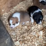 Profile Picture of Brayan Zav (@Brayan-Zav) on Facebook