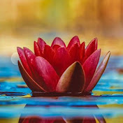 Profile Picture of Audrey Allen (@audreyallen8973) on Youtube