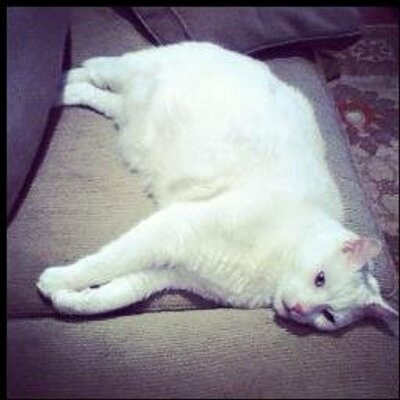 Profile Picture of Dougal James (@DougalJames19) on Twitter