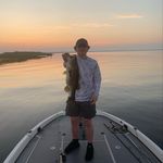 Profile Picture of Brandon Wiley (@brandon_wiley70) on Instagram