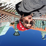 Profile Picture of Matt Steiner (@mattsteiner) on Flickr