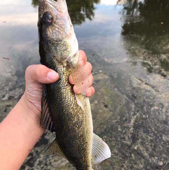 Noah Guthmiller - Poshmark Profile Picture of Noah Guthmiller (@noahguthmiller8) on Poshmark