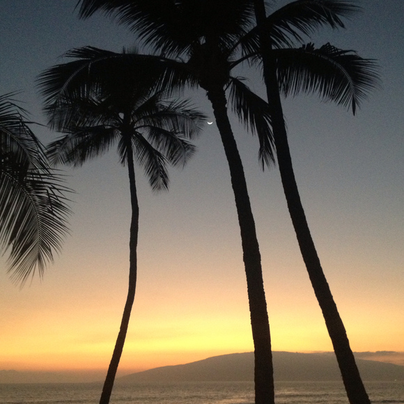 Profile Picture of Brianne Teuber (@briteuber) on Poshmark