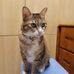 Profile Picture of Wing Tsang (@wing.tsang.9678) on Facebook