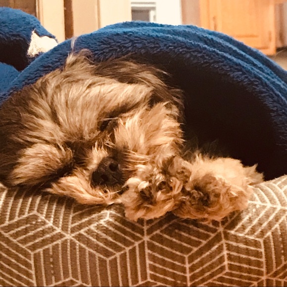 Profile Picture of Tanner Mueller (@tannertrump) on Poshmark