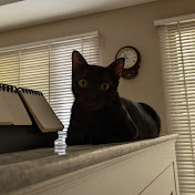 Profile Picture of Alice Kuo (@Alicekuo0517) on Youtube