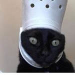 Profile Picture of Bryan Rhoads (@onjahnocap69) on Instagram