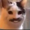 Profile Picture of robertrisner151 (@robertrisner151) on Tiktok
