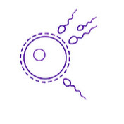 Profile Picture of Dr. Jorge Lezama Ginecología Y Reproducción (@dr.jorgelezamaginecologiay3412) on Youtube