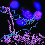 Profile Picture of Wilson Zhao (@wilsonzhao151) on Youtube