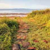 Profile Picture of Ginger Long (@gingerlong9248) on Youtube