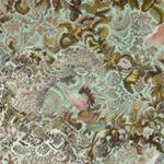 Profile Picture of Alice Denison (@denison.alice) on Instagram