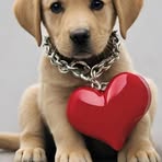 Profile Picture of Alberta Moreno (@Alberta-Moreno) on Facebook