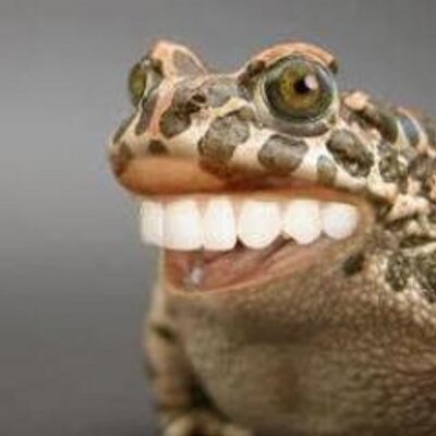 Profile Picture of Jody Moore (@jodymoore5456) on Twitter