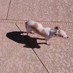 Profile Picture of Thomas Blanton (@blanton.thomas) on Instagram