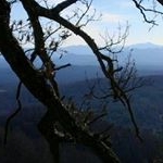 Profile Picture of Casey Henning (@henningcasey) on Instagram