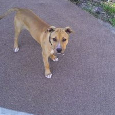 Profile Picture of David Garay (@davidgaray12388) on Twitter