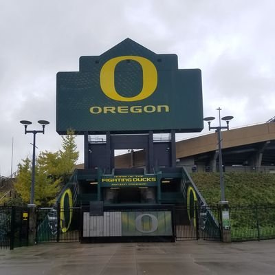 Profile Picture of Nick Gamboa (@Nickgamboa13) on Twitter