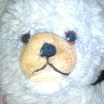 Profile Picture of Daniel Kusch (@d_kusch) on Instagram