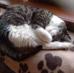 Profile Picture of Alice Leopold (@alice.leopold.94) on Facebook