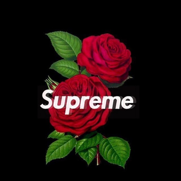 Profile Picture of Hxgh Ground (@stanleyscott273) on Poshmark