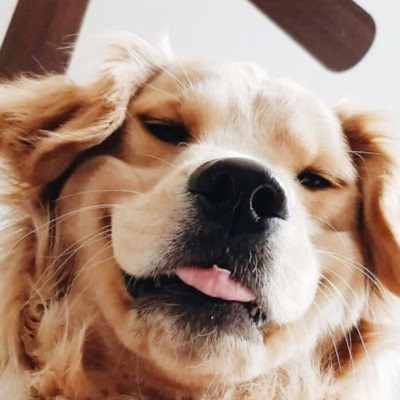 Profile Picture of Delaney Grondahl (@delaneygrondahl) on Poshmark