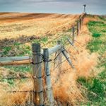 Profile Picture of Miley davis (@miley5642) on Instagram