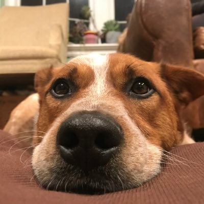 Profile Picture of Julia Tsao (@tsao_julia) on Twitter