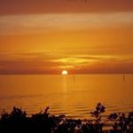 Profile Picture of Carol Cates (@cates7510) on Instagram