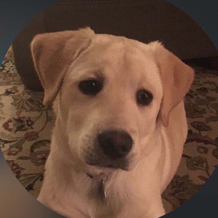 Profile Picture of Aaron (@adotyyy44) on Tiktok
